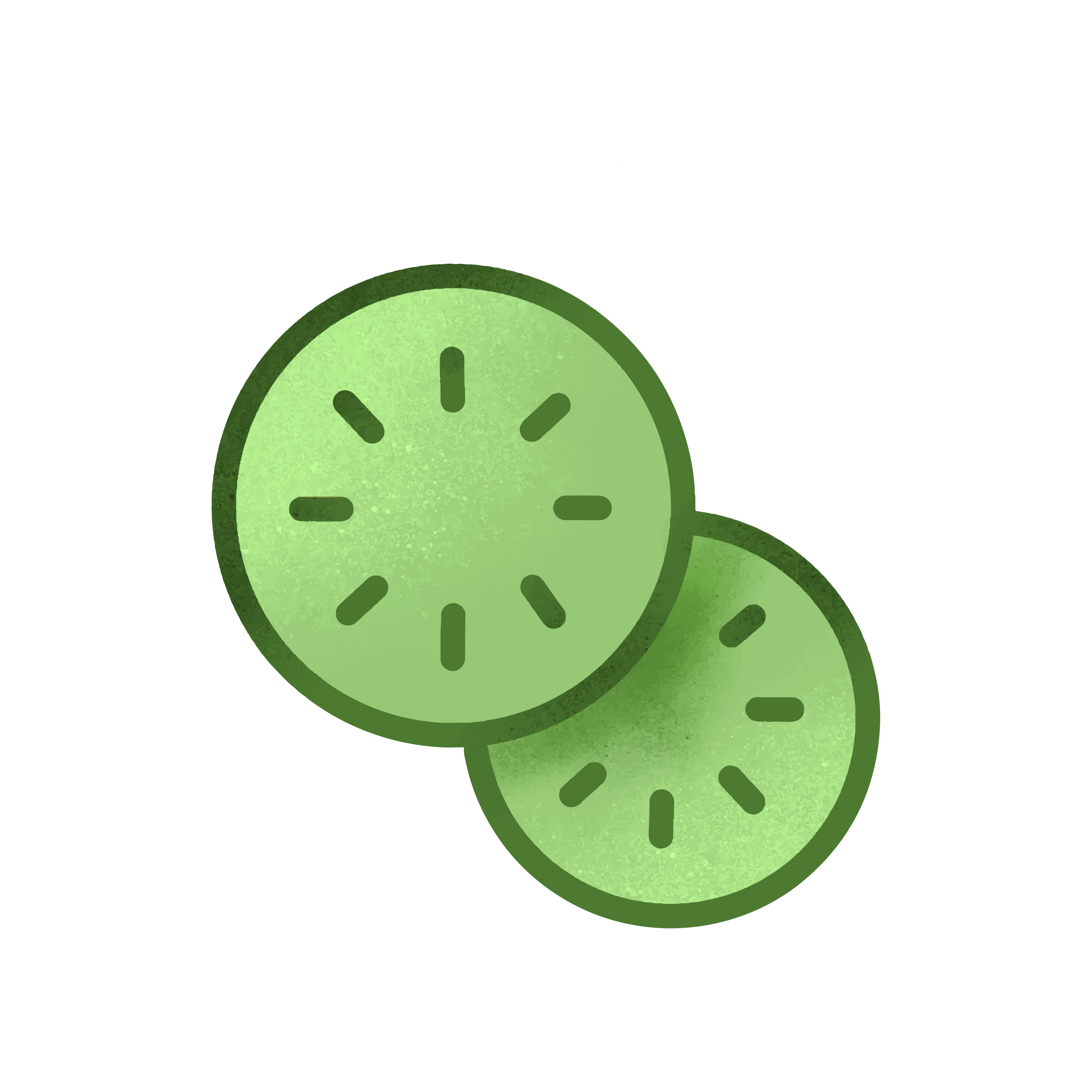 Cucumber